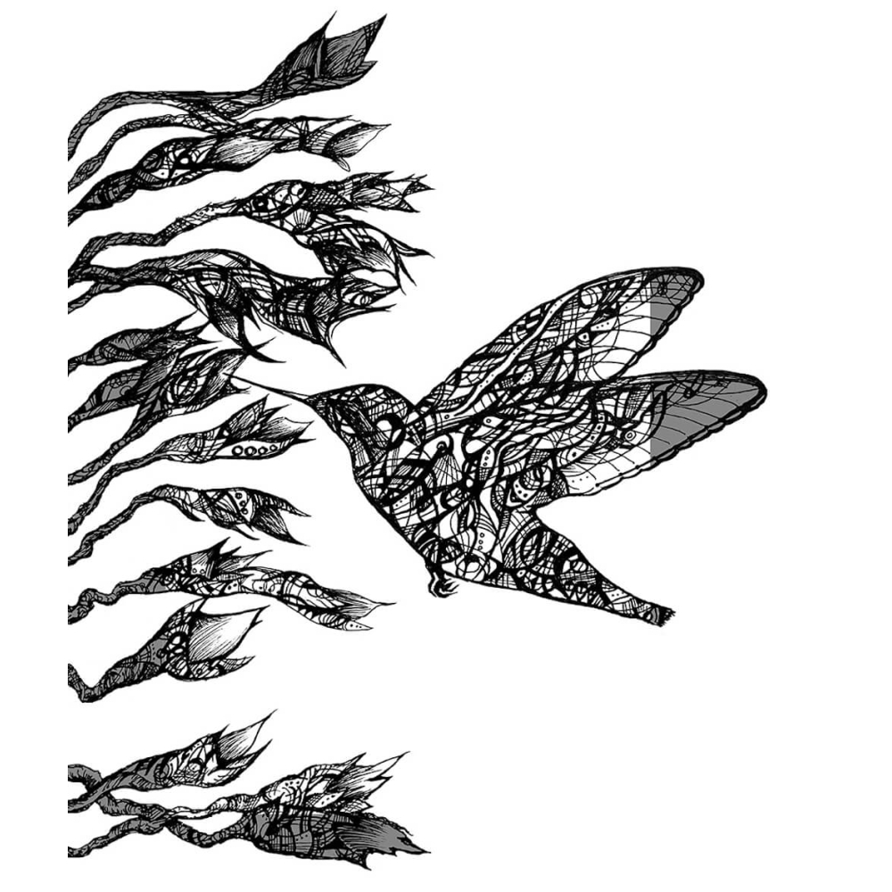 Humming Bird
