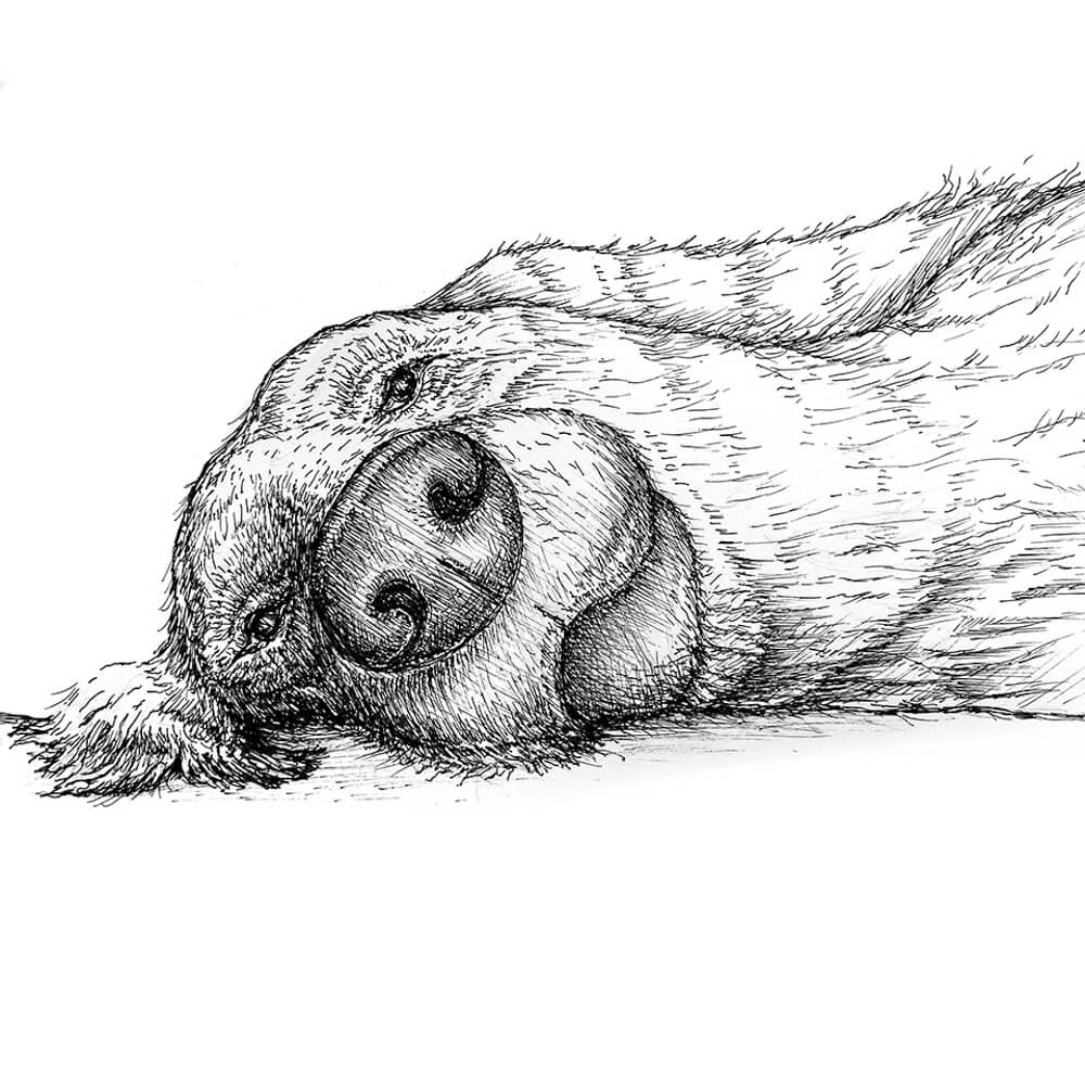 Lazy Dog